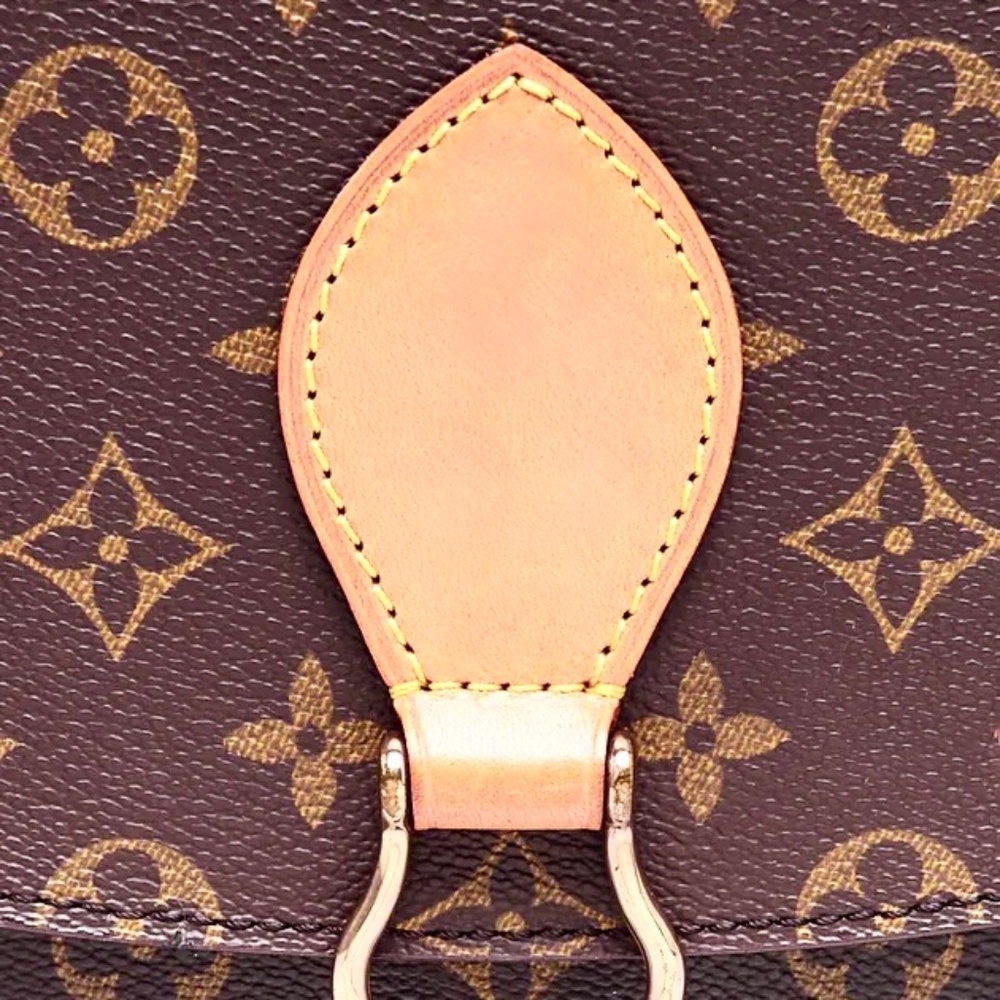Louis Vuitton Monogram Saint Cloud MM Crossbody - Picture 3 of 15